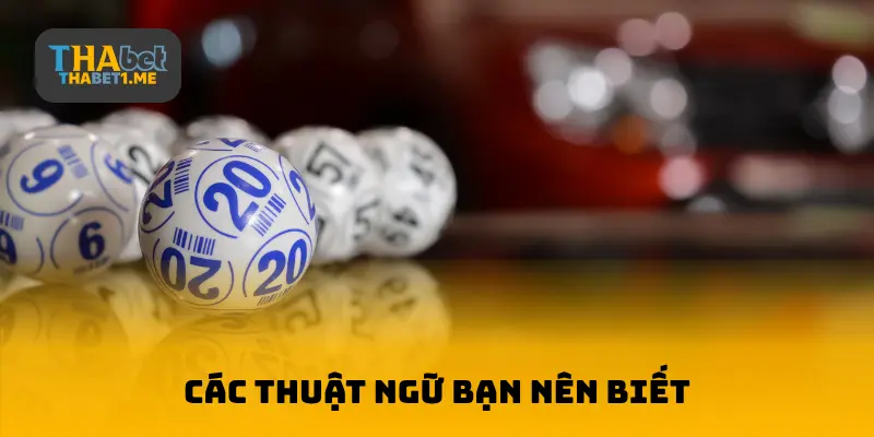 Lô trượt là gì? Các thuật ngữ bạn nên biết