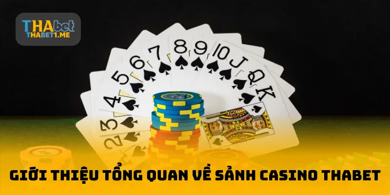 Giới thiệu tổng quan về sảnh casino THABET