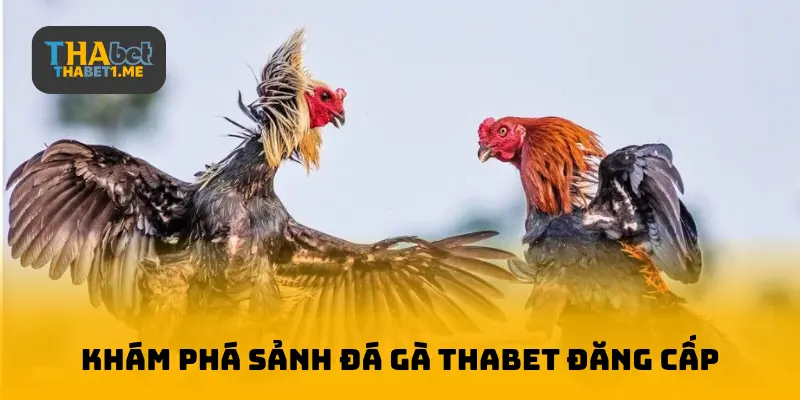 Khám phá cổng đá THABET đăng ký