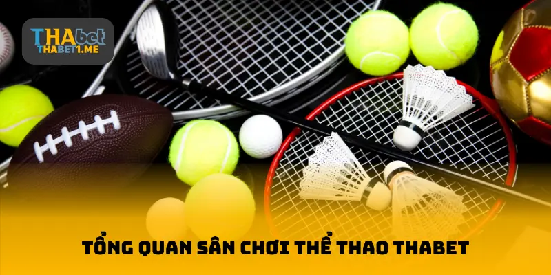 Tổng quan sân chơi thể thao THABET